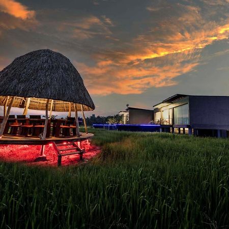 Blue Wild - Yala - Plastic Free & Sustainable تيساماهاراما المظهر الخارجي الصورة